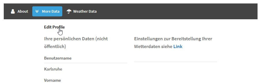 weatherlink sample templates